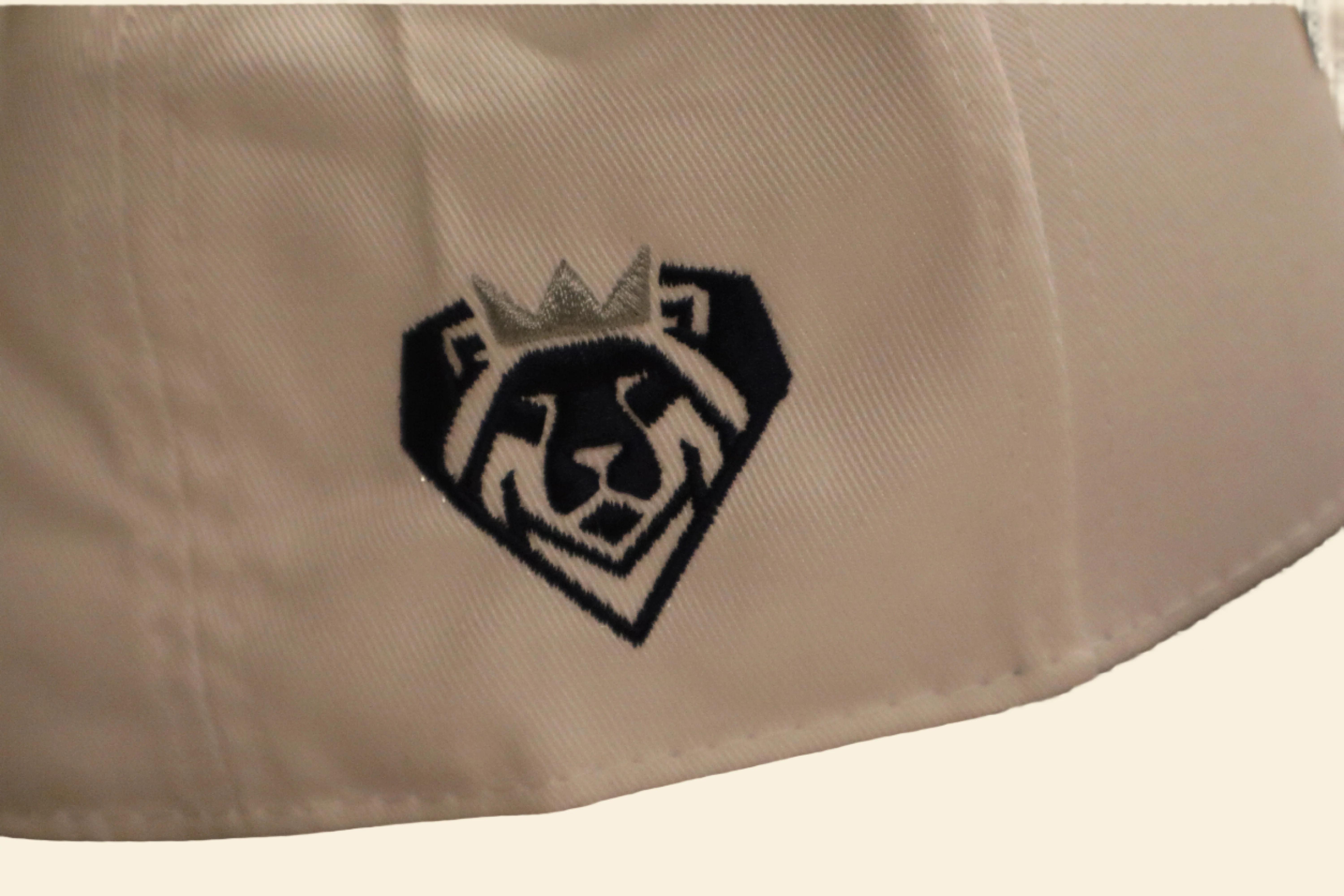 Micah Parsons/Lion Heart Foundation Hat - Image 3